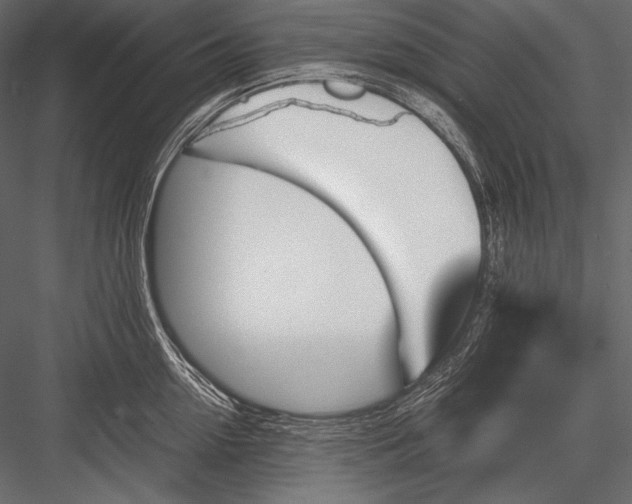 X0000082990954200702230056