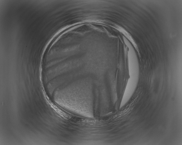 X0000082990955200702230056