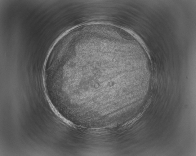 X0000082990957200702230056