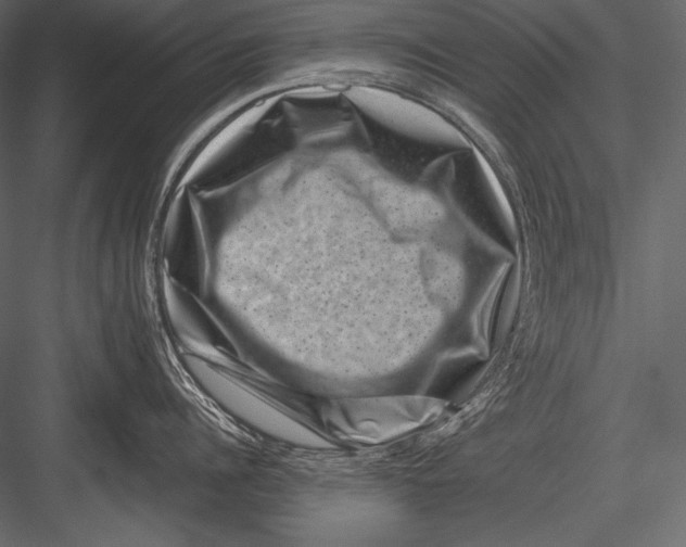 X0000082990960200702230056