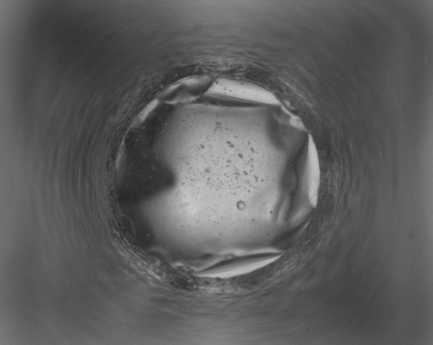 X0000082990961200702230056