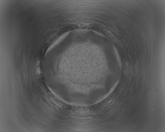 X0000082990962200702230056