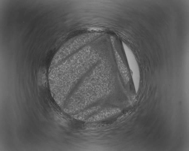 X0000082990963200702230056