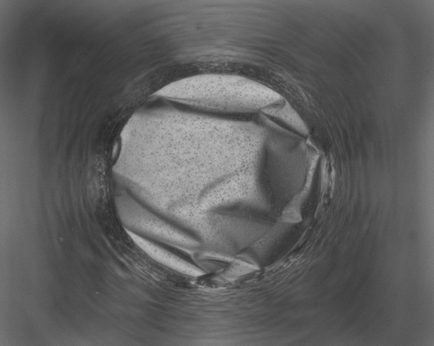 X0000082990964200702230056