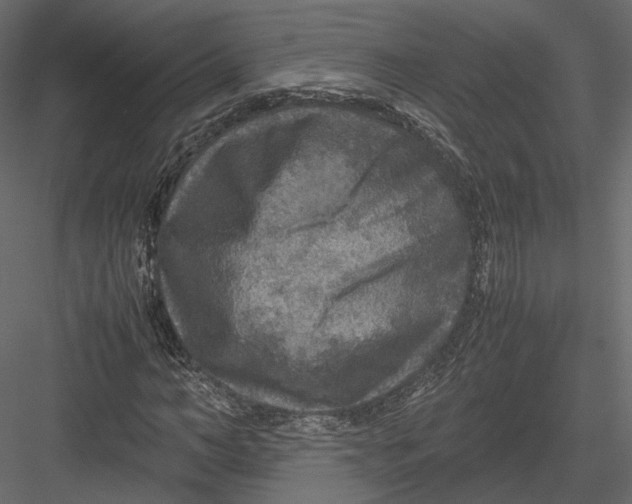 X0000082990966200702230056