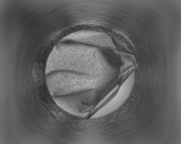 X0000082990968200702230056