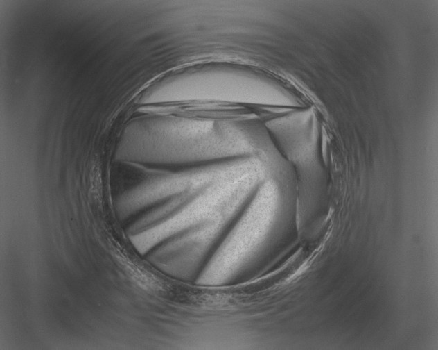 X0000082990969200702230056