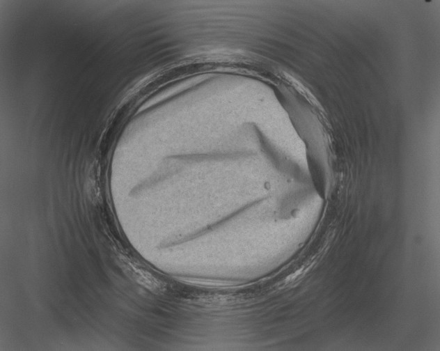 X0000082990970200702230055