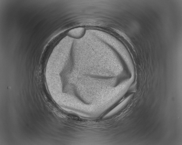 X0000082990971200702230055