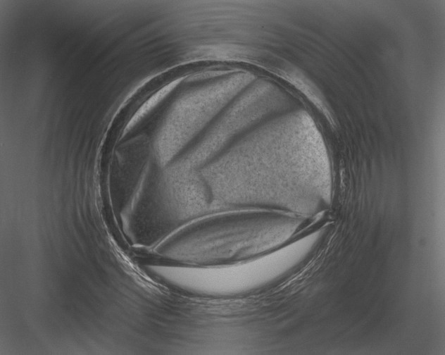 X0000082990972200702230055