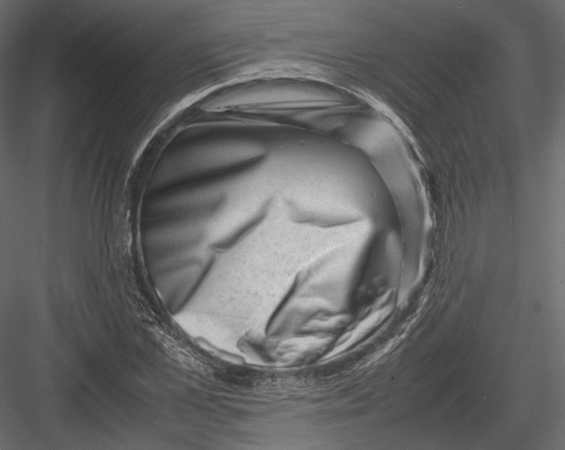 X0000082990973200702230055