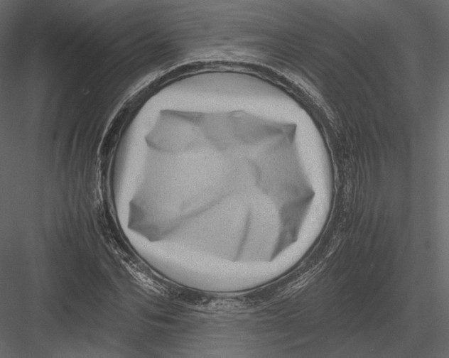 X0000082990974200702230055