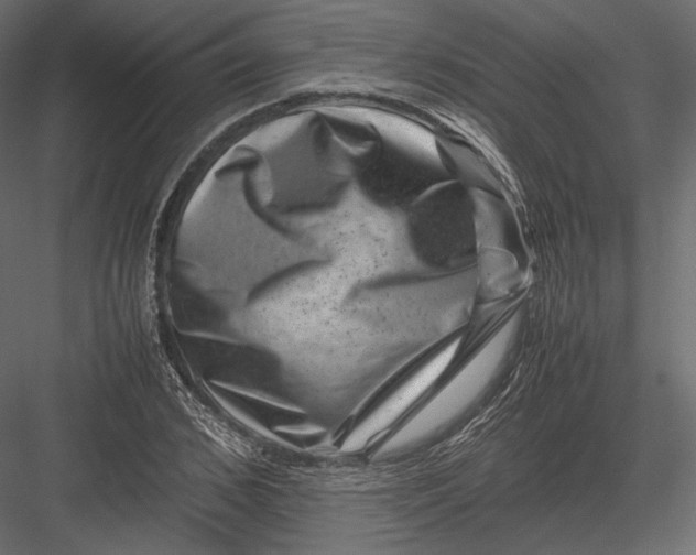 X0000082990976200702230055