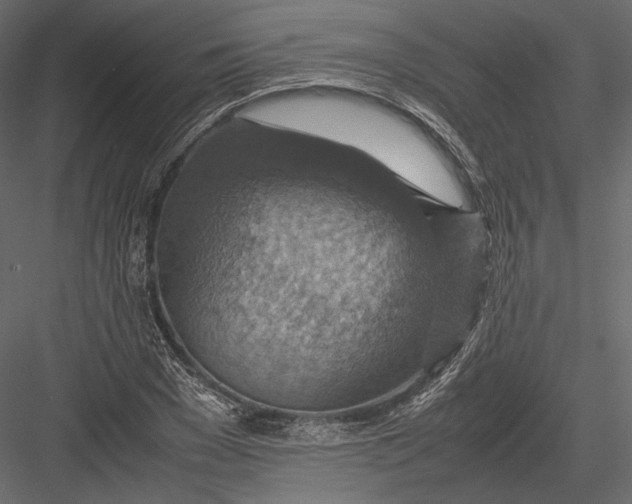 X0000082990977200702230055