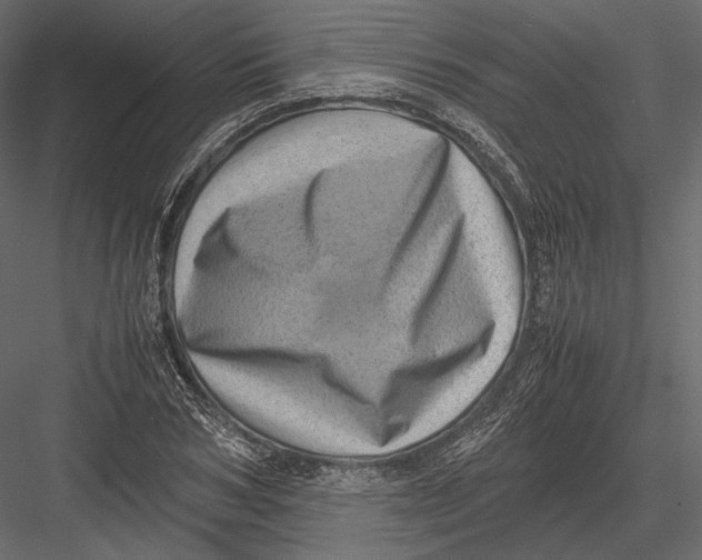 X0000082990978200702230055