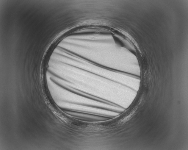 X0000082990981200702230055