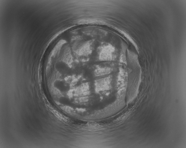 X0000082990983200702230055