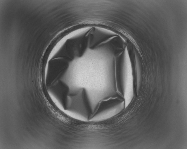 X0000082990984200702230055