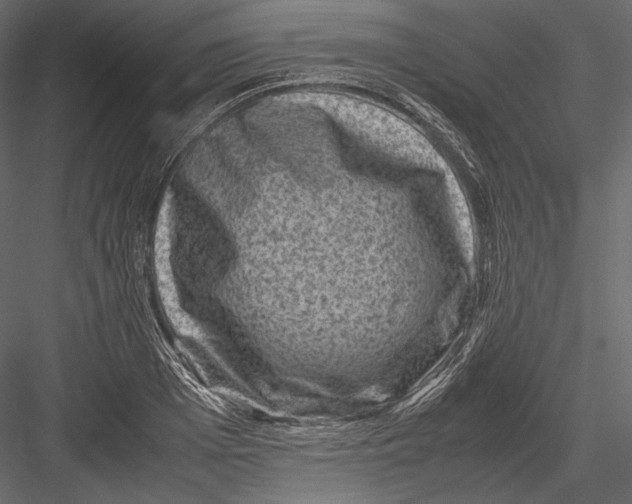 X0000082990985200702230055