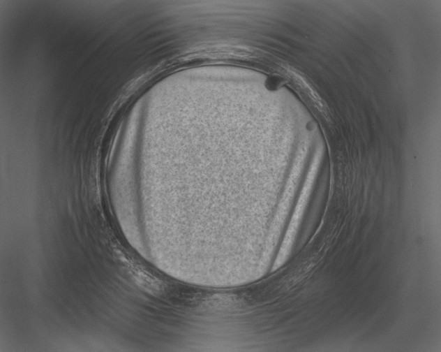 X0000082990986200702230055