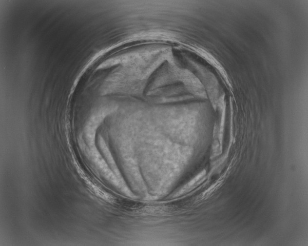 X0000082990989200702230055