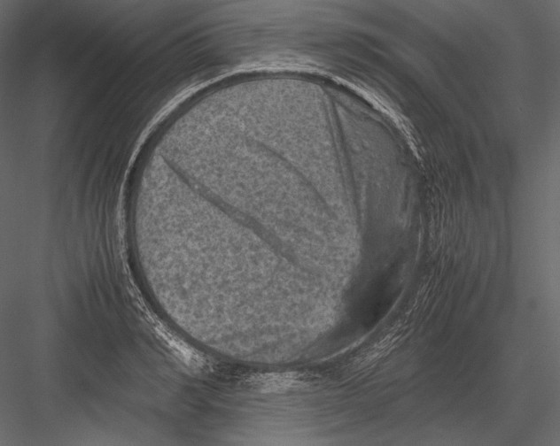 X0000082990990200702230055