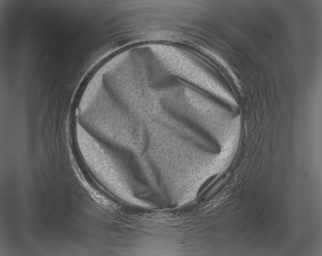 X0000082990991200702230055