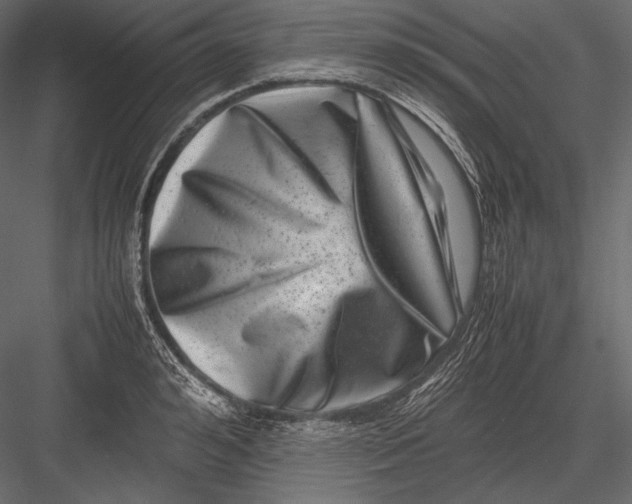 X0000082990992200702230055