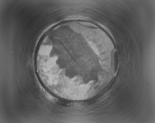 X0000082990995200702230055