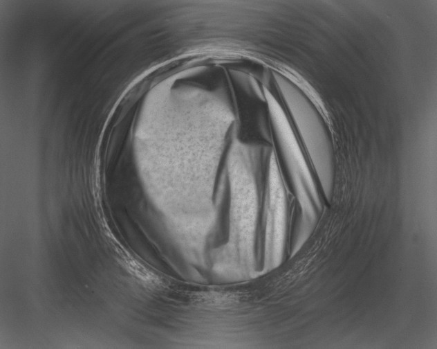 X0000082990996200702230055