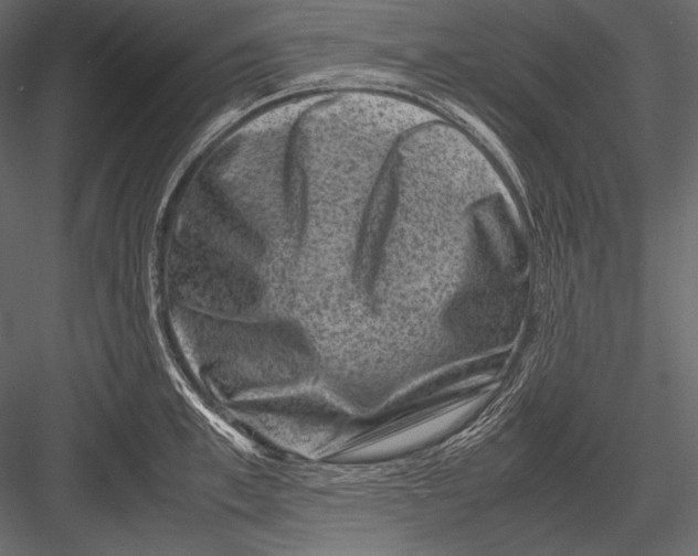 X0000082990997200702230055