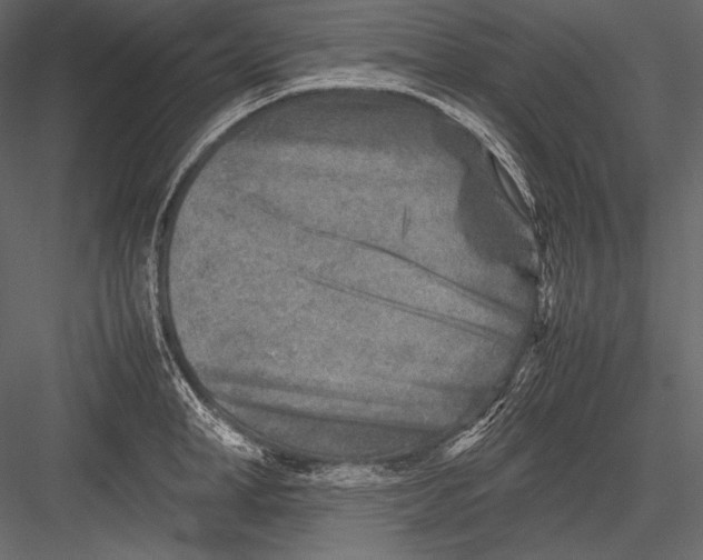 X0000082990998200702230055