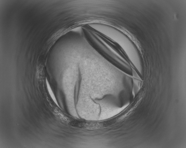 X0000082991001200702230055