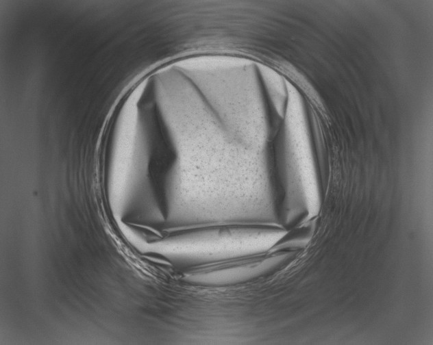 X0000082991004200702230055