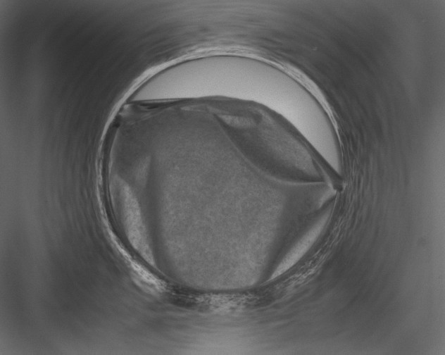 X0000082991005200702230055