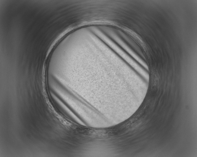 X0000082991006200702230055