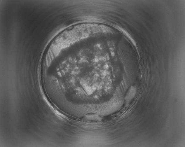 X0000082991007200702230055