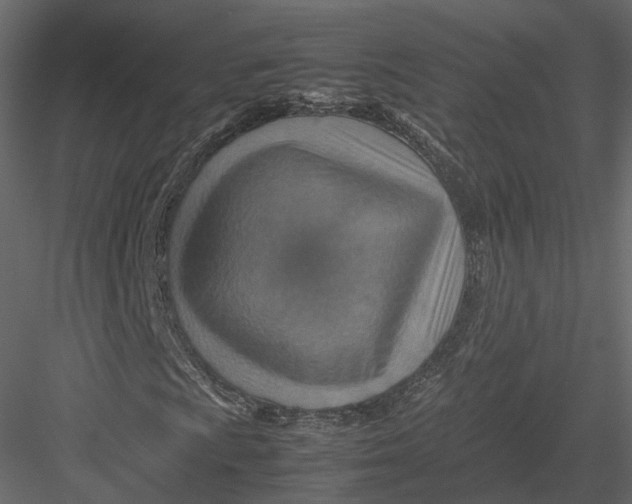 X0000082991009200702230054