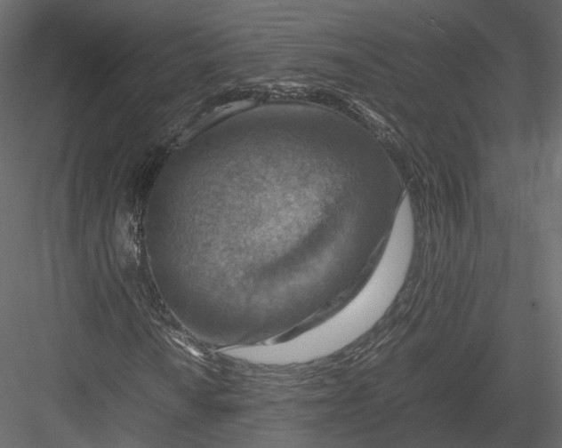 X0000082991010200702230054