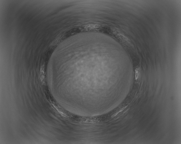 X0000082991011200702230054