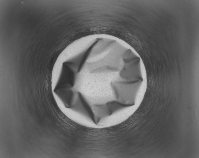 X0000082991012200702230054