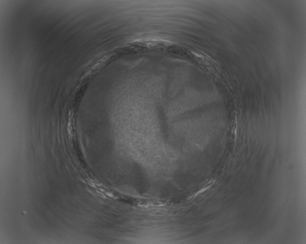 X0000082991014200702230054