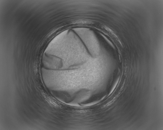 X0000082991017200702230054