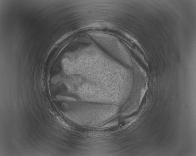 X0000082991018200702230054