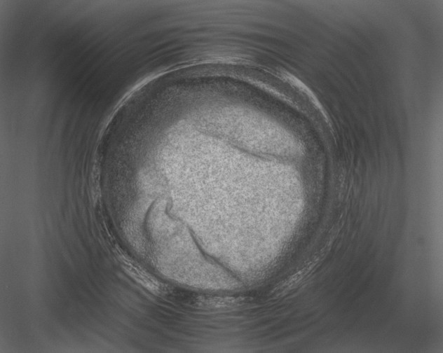 X0000082991019200702230054