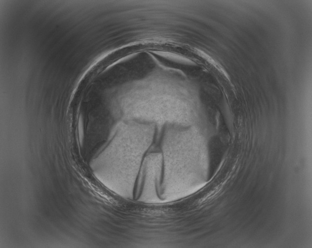 X0000082991021200702230054