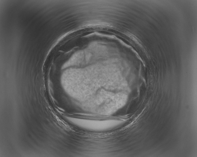 X0000082991022200702230054