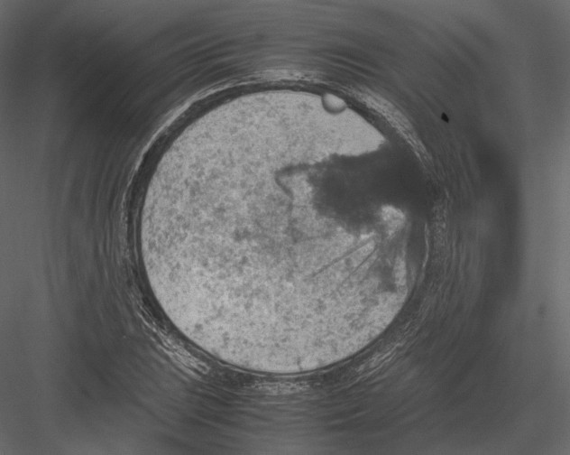 X0000082991023200702230054