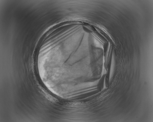 X0000082991024200702230054