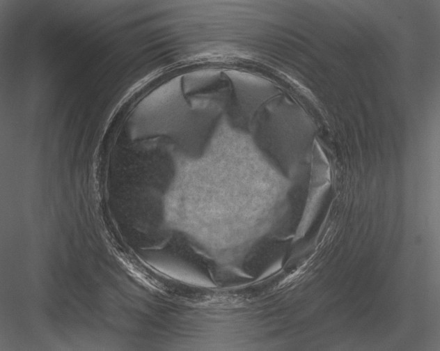 X0000082991026200702230054